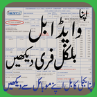 Electricity Bill Checker Wapda Pakistan(2018-19) icône
