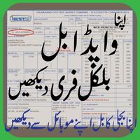 Electricity Bill Checker Wapda Pakistan(2018-19) পোস্টার
