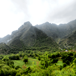 شبكة وصابين