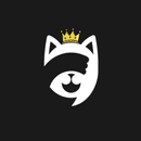 Feliz Chat Pro APK