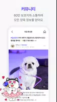 포동 imagem de tela 5