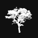 Bad Habit Break icon