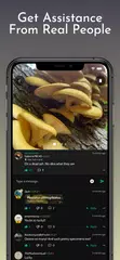 ShroomID - Identify Mushrooms! XAPK 下載