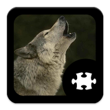 Wolf Puzzle icône