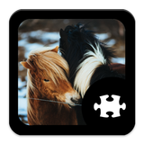 Horse Puzzle icône