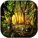 APK Forest Live Wallpaper HD