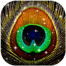 APK Peacock Feathers Live Wallpaper HD