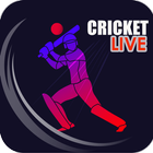 Live Cricket icône