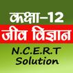 Class 12th Biology Solutions icon