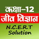 Class 12th Biology Solutions APK