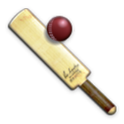 Cricket Maze icône