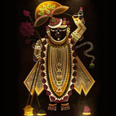 Shrinathji Chalisa,Bhajan,Pics APK