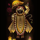 Shrinathji Chalisa,Bhajan,Pics أيقونة