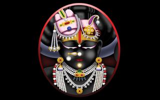 Shrinathji Chalisa,Bhajan,Pics تصوير الشاشة 2