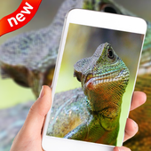 Real Water Dragon Lizard Live Wallpaper Video 4k icon