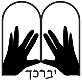 Mt. Sinai Jewish Center icono