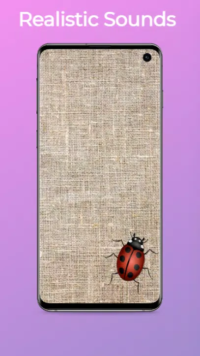 猫咪独行:猫玩具和狗游戏