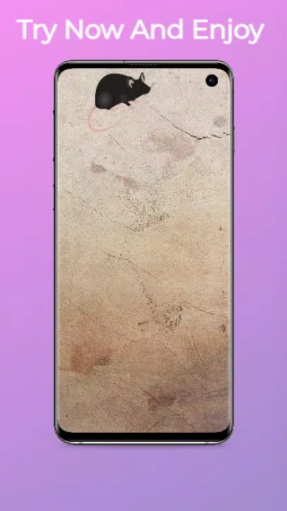 猫咪独行:猫玩具和狗游戏