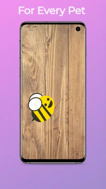 猫咪独行:猫玩具和狗游戏