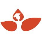 BLSYW icon