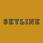 Skyline আইকন