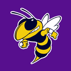 Denham Springs High School biểu tượng