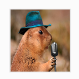 Voice Notes | Notas de voz