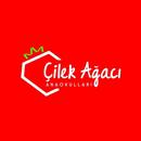 Çilek Ağacı Anaokulları APK