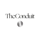 The Conduit icône