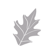 Grey Oaks Country Club