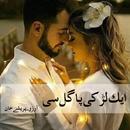 Ek Larki Pagal Si - Urdu Novel APK