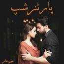 Partnership - Urdu Novel APK