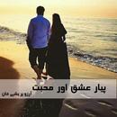 Pyar Ishq Aur Muhabbat - Urdu Novel APK