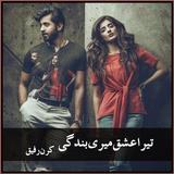 Tera Ishq иконка