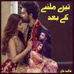 Tere Milne Kay Baad - Urdu Nov