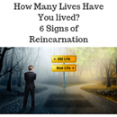 Reincarnation APK