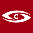 Visual Support - Corporate icon