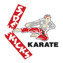 Side Kicks Karate APK