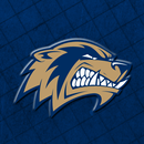 Bentonville West Wolverines APK