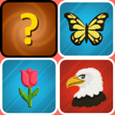 Memory Picture Match APK
