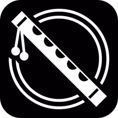Learn Flute : Video Lessons