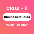 Class 11 Business Studies icon
