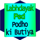Labhdayak Ped Poudhe लाभदायक पेड़ पौधे aplikacja