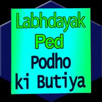 Labhdayak Ped Poudhe постер