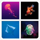 QUIZLOGO - Sea Animals icône