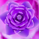 Purple Shiny Flowers Live Wallpaper APK