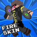 Skin Mod Fee Frier