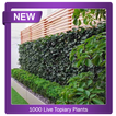 1000+ lebende Topiary-Pflanzen