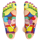 Foot Reflexology Chart ícone