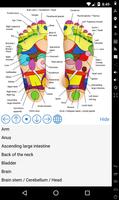 Foot Reflexology Chart Affiche
